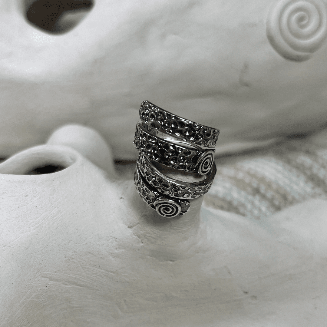 pack regalo duo anillo plata completa y libre (6)